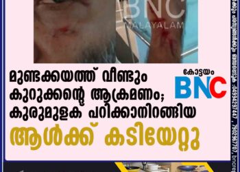 മുണ്ടക്കയത്ത് വീണ്ടും കുറുക്കന്റെ ആക്രമണം; കുരുമുളക് പറിക്കാനിറങ്ങിയ ആള്‍ക്ക് കടിയേറ്റു