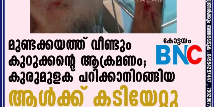 മുണ്ടക്കയത്ത് വീണ്ടും കുറുക്കന്റെ ആക്രമണം; കുരുമുളക് പറിക്കാനിറങ്ങിയ ആള്‍ക്ക് കടിയേറ്റു