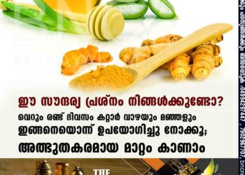 ഈ സൗന്ദര്യ പ്രശ്നം നിങ്ങൾക്കുണ്ടോ? വെറും രണ്ട് ദിവസം കറ്റാർ വാഴയും മഞ്ഞളും ഇങ്ങനെയൊന്ന് ഉപയോഗിച്ചുനോക്കൂ; അത്ഭുതകരമായ മാറ്റം കാണാം