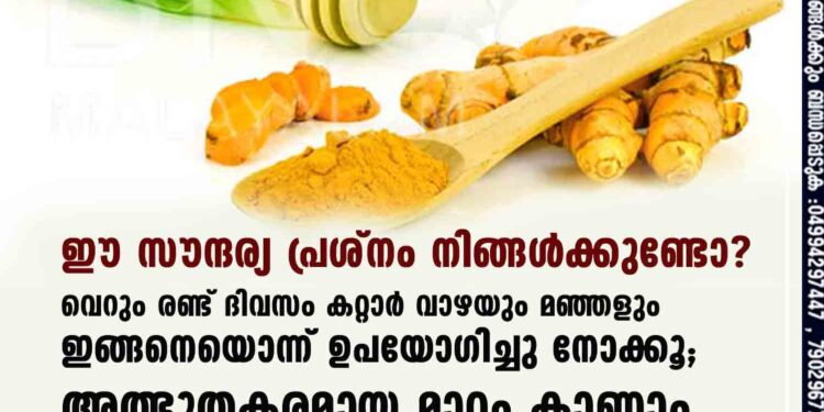 ഈ സൗന്ദര്യ പ്രശ്നം നിങ്ങൾക്കുണ്ടോ? വെറും രണ്ട് ദിവസം കറ്റാർ വാഴയും മഞ്ഞളും ഇങ്ങനെയൊന്ന് ഉപയോഗിച്ചുനോക്കൂ; അത്ഭുതകരമായ മാറ്റം കാണാം