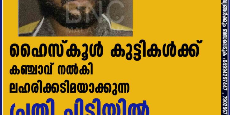 ഹൈസ്കൂൾ കുട്ടികൾക്ക് കഞ്ചാവ് നൽകി ലഹരി ക്കടിമയാക്കുന്ന പ്രതി പിടിയിൽ