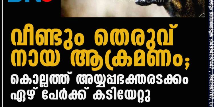 വീണ്ടും തെരുവ് നായ ആക്രമണം; കൊല്ലത്ത് അയ്യപ്പഭക്തരടക്കം ഏഴ് പേർക്ക് കടിയേറ്റു