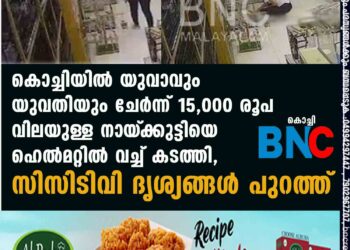 കൊച്ചിയിൽ യുവാവും യുവതിയും ചേർന്ന് 15,000 രൂപ വിലയുള്ള നായ്‌ക്കുട്ടിയെ ഹെൽമറ്റിൽ വച്ച് കടത്തി, സിസിടിവി ദൃശ്യങ്ങൾ പുറത്ത്