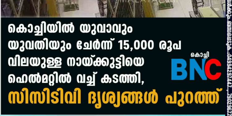 കൊച്ചിയിൽ യുവാവും യുവതിയും ചേർന്ന് 15,000 രൂപ വിലയുള്ള നായ്‌ക്കുട്ടിയെ ഹെൽമറ്റിൽ വച്ച് കടത്തി, സിസിടിവി ദൃശ്യങ്ങൾ പുറത്ത്