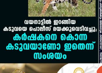 വയനാട്ടിൽ ഇറങ്ങിയ കടുവയെ പൊലീസ് മയക്കുവെടിവച്ചു; കർഷകനെ കൊന്ന കടുവയാണോ ഇതെന്ന് സംശയം