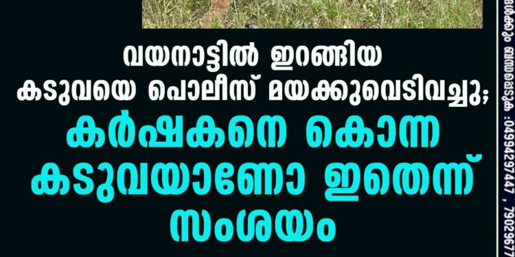 വയനാട്ടിൽ ഇറങ്ങിയ കടുവയെ പൊലീസ് മയക്കുവെടിവച്ചു; കർഷകനെ കൊന്ന കടുവയാണോ ഇതെന്ന് സംശയം