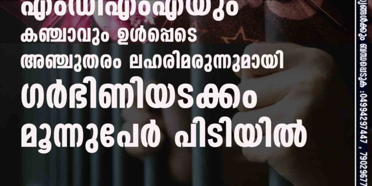 എംഡിഎംഎയും കഞ്ചാവും ഉൾപ്പെടെ അഞ്ചുതരം ലഹരിമരുന്നുമായി ഗർഭിണിയടക്കം മൂന്നുപേർ പിടിയിൽ