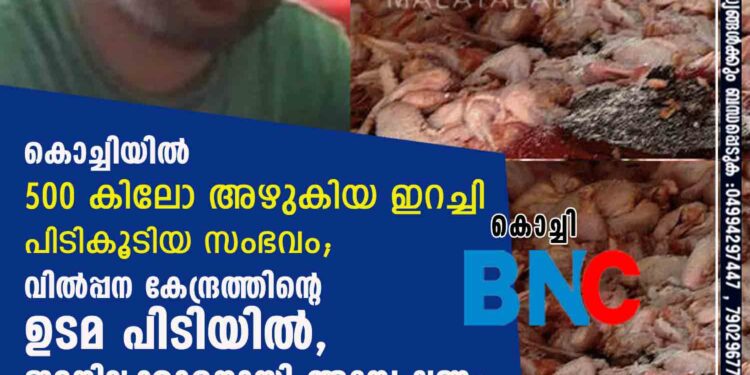 കൊച്ചിയിൽ 500 കിലോ അഴുകിയ ഇറച്ചി പിടികൂടിയ സംഭവം; വിൽപ്പന കേന്ദ്രത്തിന്റെ ഉടമ പിടിയിൽ, ഇടനിലക്കാരനായി അന്വേഷണം