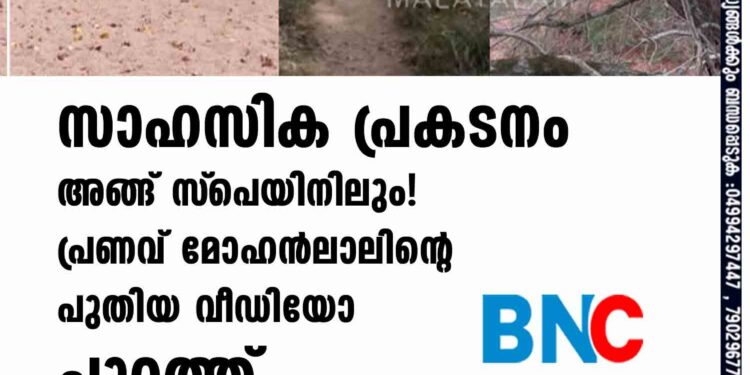 സാഹസിക പ്രകടനം അങ്ങ് സ്‌പെയിനിലും! പ്രണവ് മോഹൻലാലിന്റെ പുതിയ വീഡിയോ പുറത്ത്‌