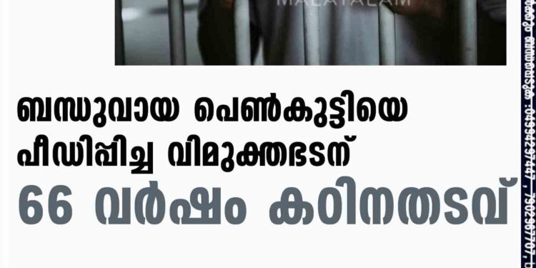 ബന്ധുവായ പെൺകുട്ടിയെ പീ‍ഡിപ്പിച്ച വിമുക്തഭടന് 66 വർഷം കഠിനതടവ്