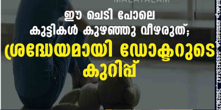 ഈ ചെടി പോലെ കുട്ടികൾ കുഴഞ്ഞു വീഴരുത്; ശ്രദ്ധേയമായി ഡോക്ടറുടെ കുറിപ്പ്