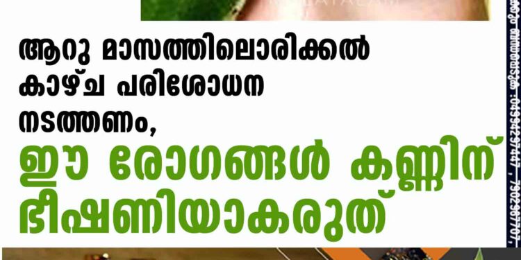 ആറു മാസത്തിലൊരിക്കൽ കാഴ്ച പരിശോധന നടത്തണം,​ ഈ രോഗങ്ങൾ കണ്ണിന് ഭീഷണിയാകരുത്