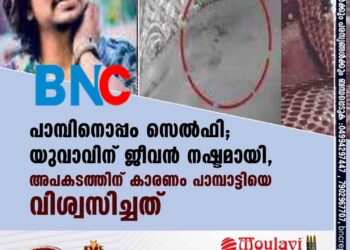 പാമ്പിനൊപ്പം സെൽഫി; യുവാവിന് ജീവൻ നഷ്ടമായി, അപകടത്തിന് കാരണം പാമ്പാട്ടിയെ വിശ്വസിച്ചത്