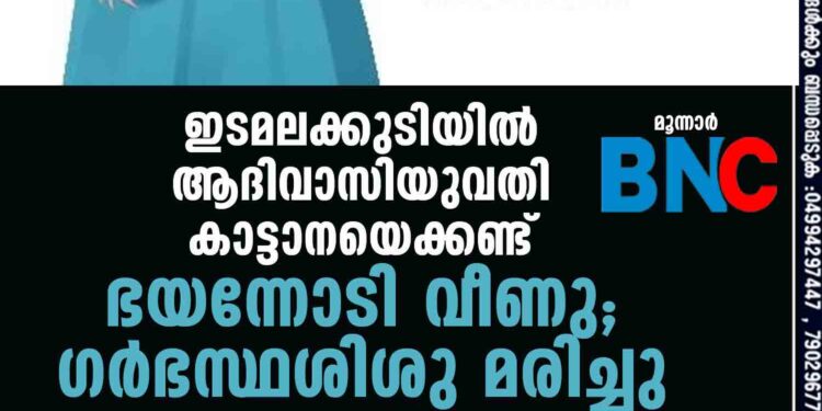 ഇടമലക്കുടിയില്‍ ആദിവാസിയുവതി കാട്ടാനയെക്കണ്ട് ഭയന്നോടി വീണു; ഗര്‍ഭസ്ഥശിശു മരിച്ചു