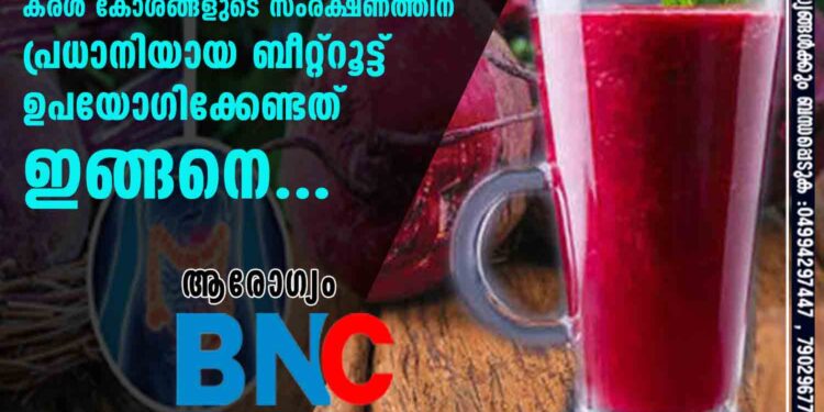 മദ്യപാനികൾ മാത്രമല്ല കരളിന്റെ ആരോഗ്യത്തെക്കുറിച്ച് ആശങ്കപ്പെടേണ്ടത്; കരൾ കോശങ്ങളുടെ സംരക്ഷണത്തിന് പ്രധാനിയായ ബീറ്റ്റൂട്ട് ഉപയോഗിക്കേണ്ടത് ഇങ്ങനെ