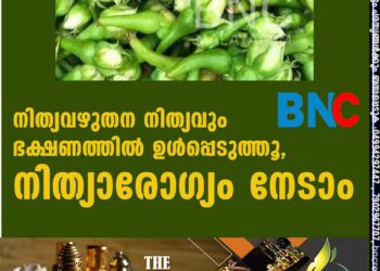 നിത്യവഴുതന നിത്യവും ഭക്ഷണത്തിൽ ഉൾപ്പെടുത്തൂ, നിത്യാരോഗ്യം നേടാം