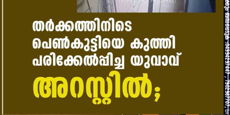 തര്‍ക്കത്തിനിടെ പെണ്‍കുട്ടിയെ കുത്തി പരിക്കേല്‍പ്പിച്ച യുവാവ് അറസ്റ്റില്‍;