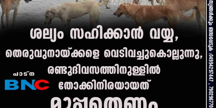 ശല്യം സഹിക്കാൻ വയ്യ, തെരുവുനായ്ക്കളെ വെടിവച്ചുകൊല്ലുന്നു, രണ്ടുദിവസത്തിനുള്ളിൽ തോക്കിനിരയായത് മുപ്പതെണ്ണം