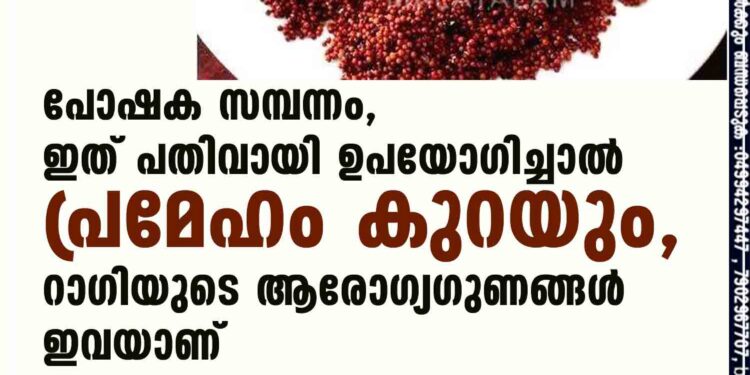 പോഷക സമ്പന്നം,​ ഇത് പതിവായി ഉപയോഗിച്ചാൽ പ്രമേഹം കുറയും,​ റാഗിയുടെ ആരോഗ്യഗുണങ്ങൾ ഇവയാണ്