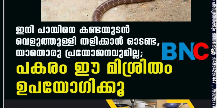 ഇനി പാമ്പിനെ കണ്ടയുടൻ വെളുത്തുള്ളി തളിക്കാൻ ഓടണ്ട, യാതൊരു പ്രയോജനവുമില്ല; പകരം ഈ മിശ്രിതം ഉപയോഗിക്കൂ