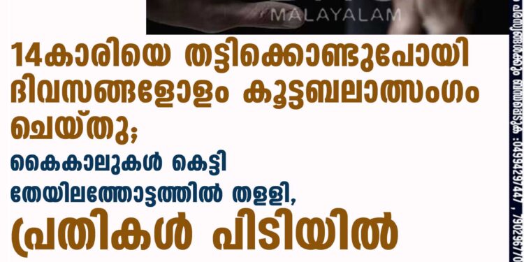 14കാരിയെ തട്ടിക്കൊണ്ടുപോയി ദിവസങ്ങളോളം കൂട്ടബലാത്സംഗം ചെയ്തു; കൈകാലുകൾ കെട്ടി തേയിലത്തോട്ടത്തിൽ തളളി, പ്രതികൾ പിടിയിൽ