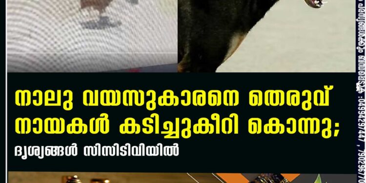 നാലു വയസുകാരനെ തെരുവ് നായകള്‍ കടിച്ചുകീറി കൊന്നു; ദൃശ്യങ്ങള്‍ സിസിടിവിയില്‍