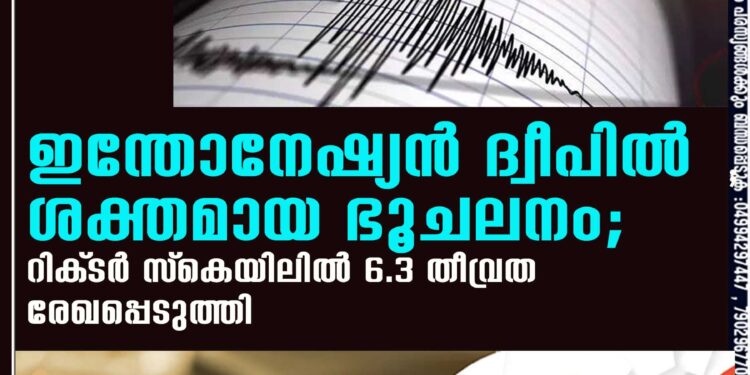 ഇന്തോനേഷ്യൻ ദ്വീപിൽ ശക്തമായ ഭൂചലനം; റിക്‌ടർ സ്‌കെയിലിൽ 6.3 തീവ്രത രേഖപ്പെടുത്തി