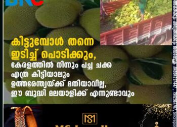 കിട്ടുമ്പോൾ തന്നെ ഇടിച്ച് പൊടിക്കും, കേരളത്തിൽ നിന്നും പച്ച ചക്ക എത്ര കിട്ടിയാലും ഉത്തരേന്ത്യയ്ക്ക് മതിയാവില്ല, ഈ ബുദ്ധി മലയാളിക്ക് എന്നുണ്ടാവും