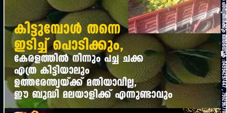 കിട്ടുമ്പോൾ തന്നെ ഇടിച്ച് പൊടിക്കും, കേരളത്തിൽ നിന്നും പച്ച ചക്ക എത്ര കിട്ടിയാലും ഉത്തരേന്ത്യയ്ക്ക് മതിയാവില്ല, ഈ ബുദ്ധി മലയാളിക്ക് എന്നുണ്ടാവും