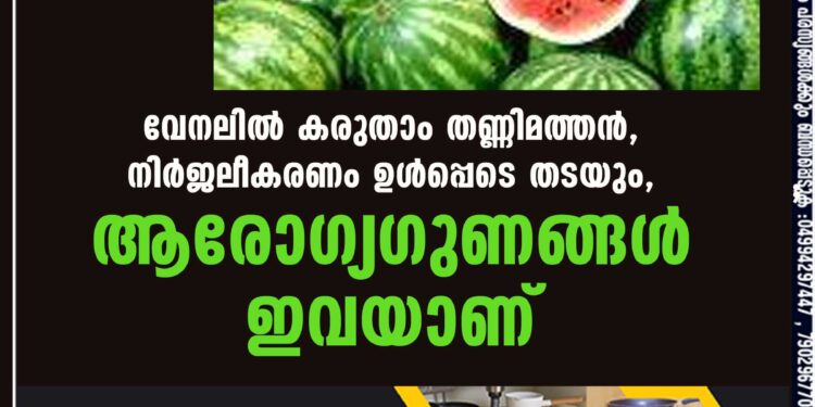 വേനലിൽ കരുതാം തണ്ണിമത്തൻ,​ നിർജലീകരണം ഉൾപ്പെടെ തടയും,​ ആരോഗ്യഗുണങ്ങൾ ഇവയാണ്