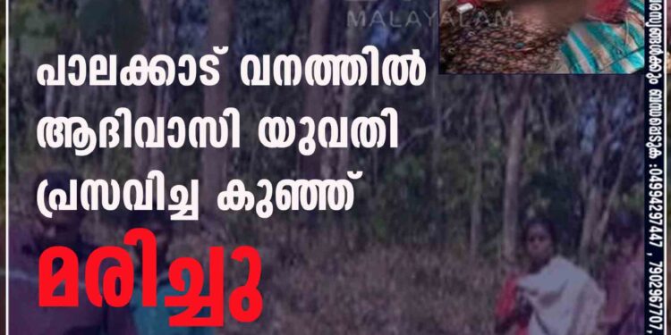 പാലക്കാട് വനത്തിൽ ആദിവാസി യുവതി പ്രസവിച്ച കുഞ്ഞ് മരിച്ചു