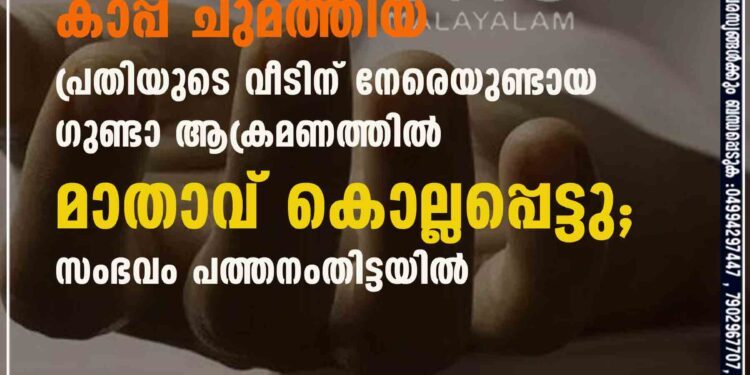 കാപ്പ ചുമത്തിയ പ്രതിയുടെ വീടിന് നേരെയുണ്ടായ ഗുണ്ടാ ആക്രമണത്തിൽ മാതാവ് കൊല്ലപ്പെട്ടു; സംഭവം പത്തനംതിട്ടയിൽ