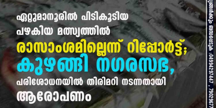 ഏറ്റുമാനൂരിൽ പിടികൂടിയ പഴകിയ മത്സ്യത്തിൽ രാസാംശമില്ലെന്ന് റിപ്പോർട്ട്; കുഴങ്ങി നഗരസഭ, പരിശോധനയിൽ തിരിമറി നടന്നതായി ആരോപണം