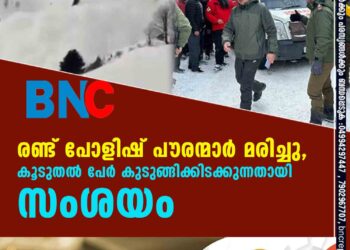 കാശ്മീരിലെ ഗുൽമാർഗിൽ ഹിമപാതം; രണ്ട് പോളിഷ് പൗരന്മാർ മരിച്ചു, കൂടുതൽ പേർ കുടുങ്ങിക്കിടക്കുന്നതായി സംശയം