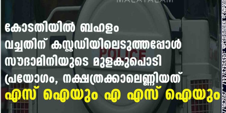 കോടതിയിൽ ബഹളം വച്ചതിന് കസ്റ്റഡിയിലെടുത്തപ്പോൾ സൗദാമിനിയുടെ മുളകുപൊടി പ്രയോഗം, നക്ഷത്രക്കാലെണ്ണിയത് എസ് ഐയും എ എസ് ഐയും