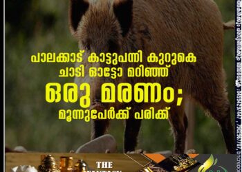 പാലക്കാട് കാട്ടുപന്നി കുറുകെ ചാടി ഓട്ടോ മറിഞ്ഞ് ഒരു മരണം; മൂന്നുപേർക്ക് പരിക്ക്