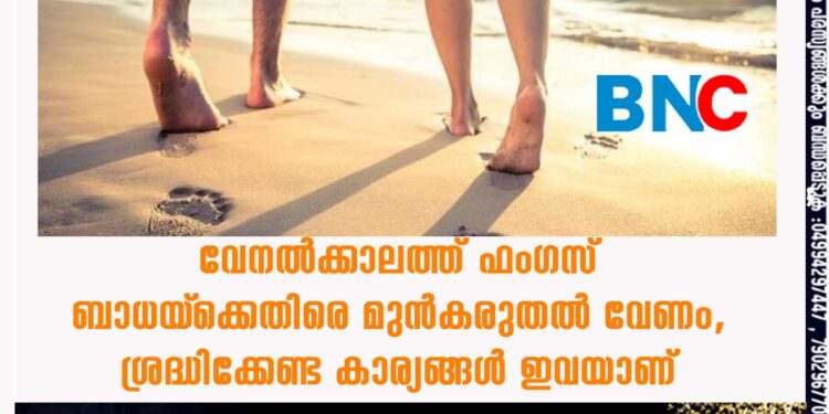 വേനൽക്കാലത്ത് ഫം​ഗ​സ് ബാധയ്‌ക്കെതിരെ മുൻകരുതൽ വേണം, ശ്രദ്ധിക്കേണ്ട കാര്യങ്ങൾ ഇവയാണ്