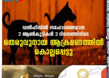 ഡല്‍ഹിയില്‍ സഹോദരങ്ങളായ 2 ആണ്‍കുട്ടികള്‍ 3 ദിവസത്തിനിടെ തെരുവുനായ ആക്രമണത്തില്‍ കൊല്ലപ്പെട്ടു