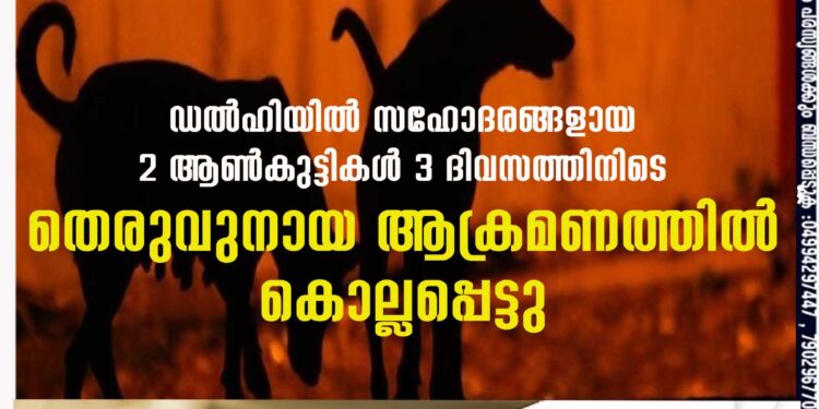 ഡല്‍ഹിയില്‍ സഹോദരങ്ങളായ 2 ആണ്‍കുട്ടികള്‍ 3 ദിവസത്തിനിടെ തെരുവുനായ ആക്രമണത്തില്‍ കൊല്ലപ്പെട്ടു