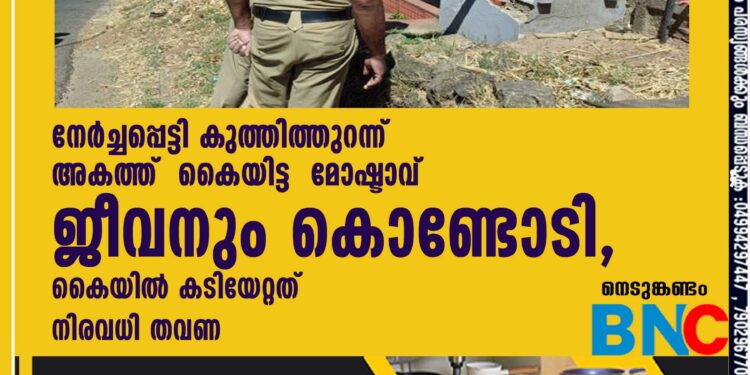 നേർച്ചപ്പെട്ടി കുത്തിത്തുറന്ന് അകത്ത് കൈയിട്ട മോഷ്ടാവ് ജീവനും കൊണ്ടോടി, കൈയിൽ കടിയേറ്റത് നിരവധി തവണ