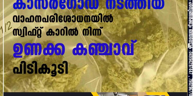 കാസർഗോഡ് നടത്തിയ വാഹനപരിശോധനയിൽ സ്വിഫ്‌റ്റ് കാറിൽ നിന്ന് ഉണക്ക കഞ്ചാവ് പിടികൂടി