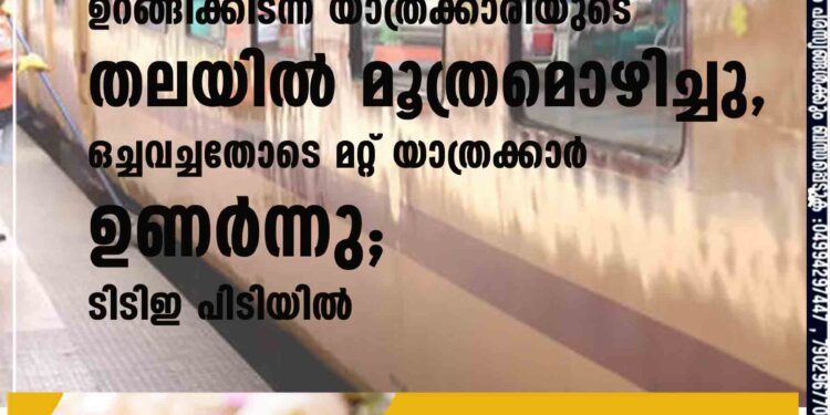 ഉറങ്ങിക്കിടന്ന യാത്രക്കാരിയുടെ തലയിൽ മൂത്രമൊഴിച്ചു, ഒച്ചവച്ചതോടെ മറ്റ് യാത്രക്കാർ ഉണർന്നു; ടിടിഇ പിടിയിൽ