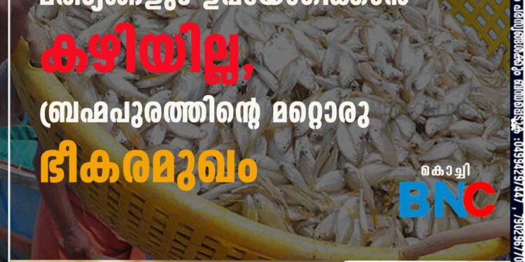 കൊച്ചിയിലെ ചെമ്മീനും മറ്റു മത്സ്യങ്ങളും ഉപയോഗിക്കാൻ കഴിയില്ല, ബ്രഹ്മപുരത്തിന്റെ മറ്റൊരു ഭീകരമുഖം