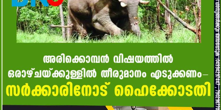 അരിക്കൊമ്പൻ വിഷയത്തിൽ ഒരാഴ്ചയ്ക്കുള്ളില്‍ തീരുമാനം എടുക്കണം- സര്‍ക്കാരിനോട് ഹൈക്കോടതി