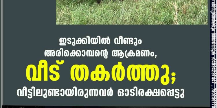 ഇടുക്കിയിൽ വീണ്ടും അരിക്കൊമ്പന്റെ ആക്രമണം, വീട് തകർത്തു; വീട്ടിലുണ്ടായിരുന്നവർ ഓടിരക്ഷപ്പെട്ടു