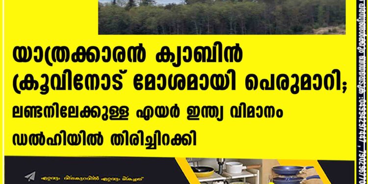 യാത്രക്കാരൻ ക്യാബിൻ ക്രൂവിനോട് മോശമായി പെരുമാറി; ലണ്ടനിലേക്കുള്ള എയർ ഇന്ത്യ വിമാനം ഡൽഹിയിൽ തിരിച്ചിറക്കി