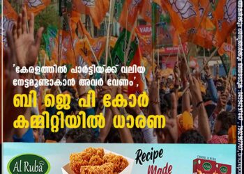 'കേരളത്തിൽ പാർട്ടിയ്ക്ക് വലിയ നേട്ടമുണ്ടാകാൻ അവർ വേണം', ബി ജെ പി കോർ കമ്മിറ്റിയിൽ ധാരണ