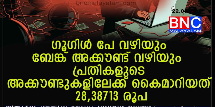 ഓണ്‍ ലൈന്‍ തട്ടിപ്പ്,