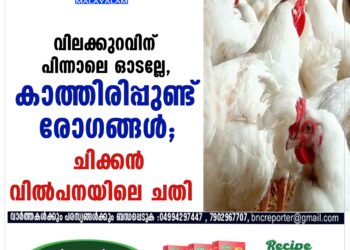 വിലക്കുറവിന് പിന്നാലെ ഓടല്ലേ, കാത്തിരിപ്പുണ്ട് രോ​ഗങ്ങൾ; ചിക്കൻ വിൽപനയിലെ ചതി