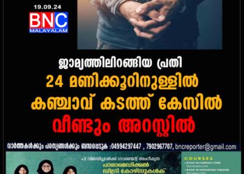 ജാമ്യത്തിലിറങ്ങിയ പ്രതി 24 മണിക്കൂറിനുള്ളിൽ കഞ്ചാവ് കടത്ത് കേസിൽ വീണ്ടും അറസ്റ്റിൽ